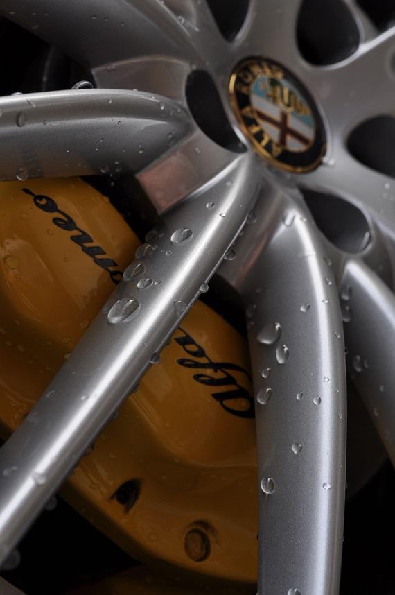 201411MAIKO (79).JPG